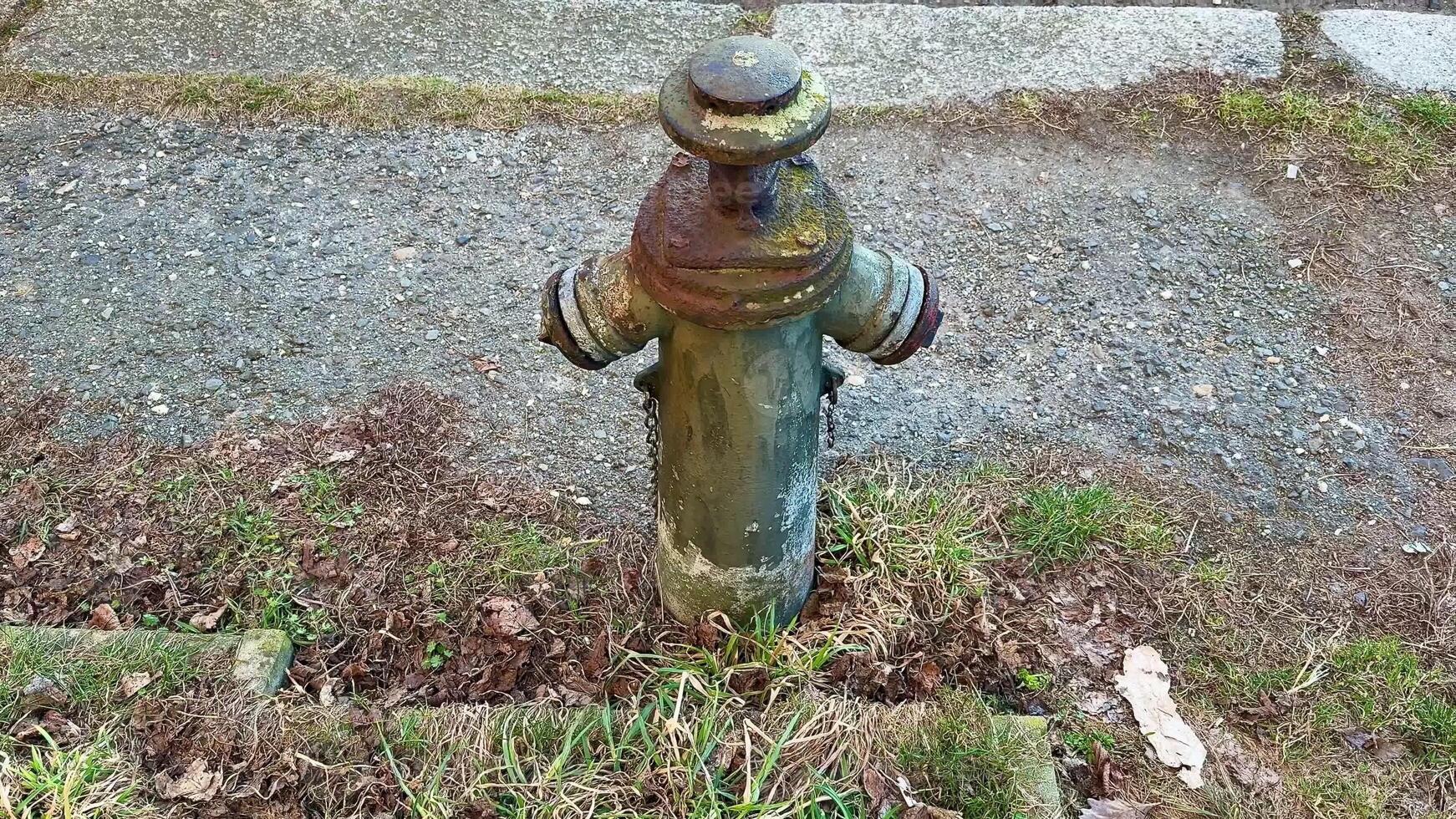 An aged and weathered fire hydrant with peeling paint and visible rust, surrounded by lush grass and gravel pathway photo