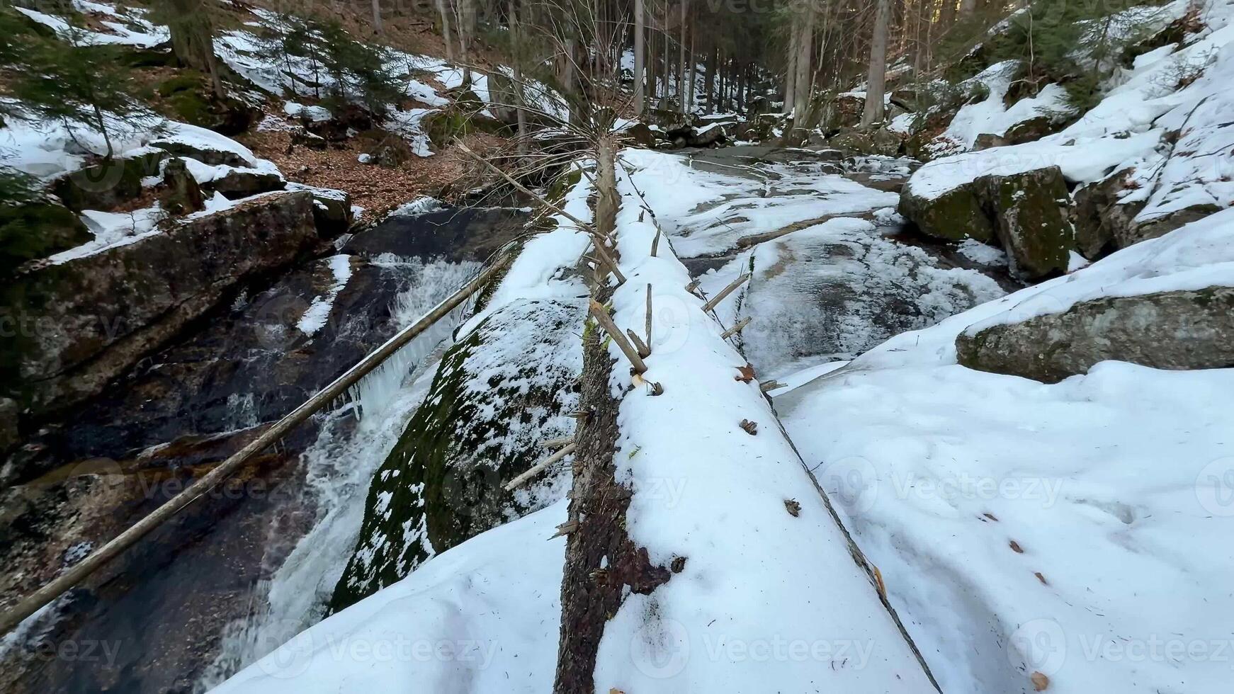 A tranquil and serene winter scene showcasing a snowcovered tree bridge that gracefully spans a flowing stream photo