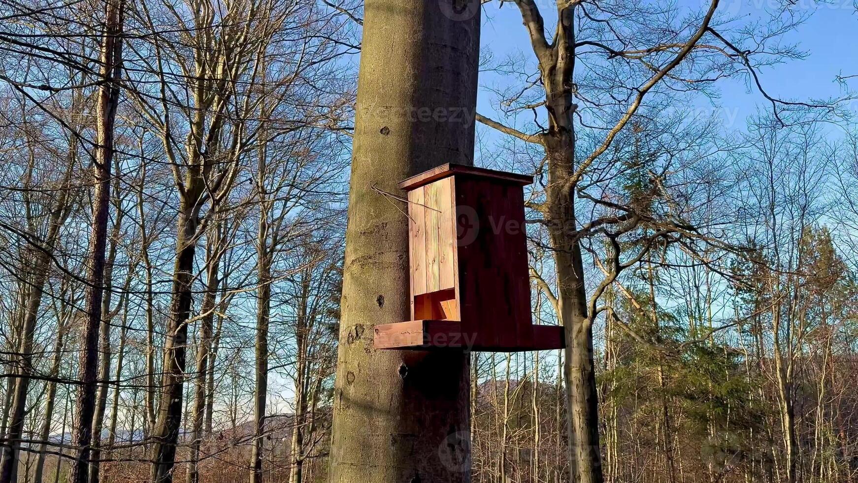 A charming, rustic birdhouse beautifully attached to a tree trunk within a serene woodland setting, ideal for wildlife photo