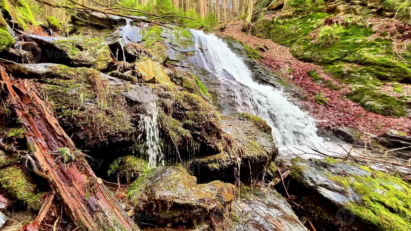A peaceful and tranquil waterfall gracefully cascading over mosscovered rocks in an idyllic green forest setting photo