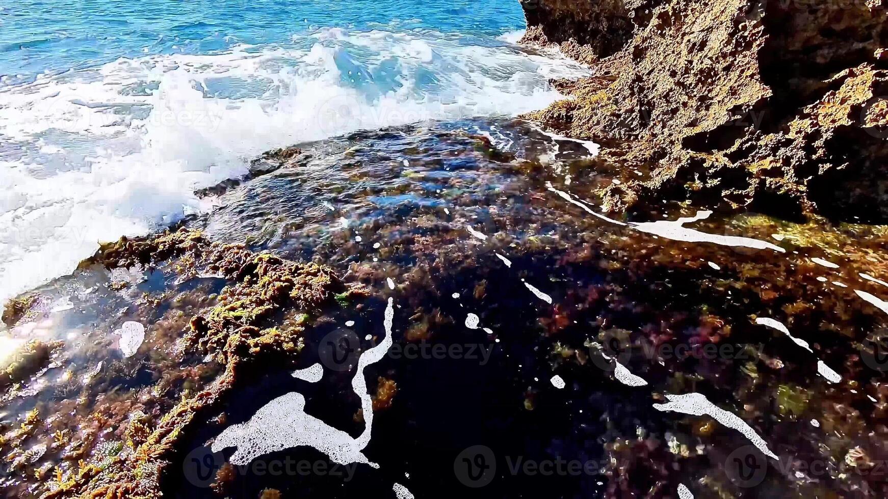 This beautiful coastal scene showcases vibrant, colorful rock pools and the gentle ocean waves creating frothy foam photo