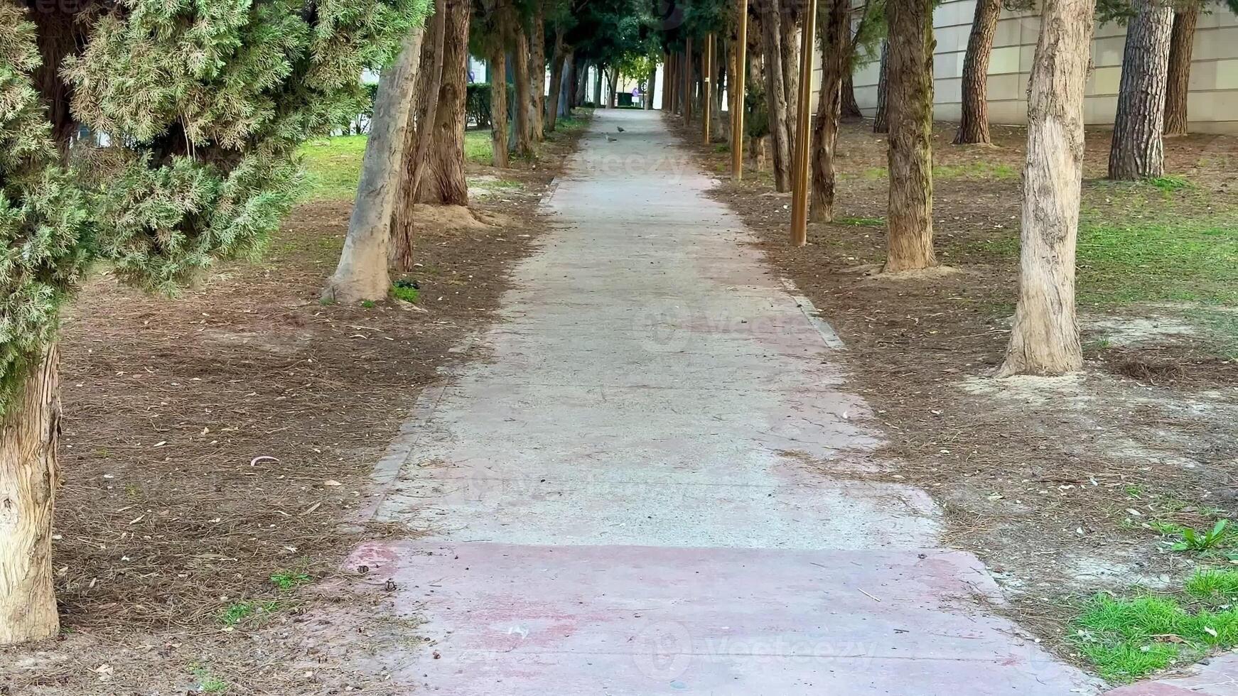 A tranquil and peaceful pathway, surrounded by lush and vibrant trees, is perfect for relaxation and leisurely strolls photo