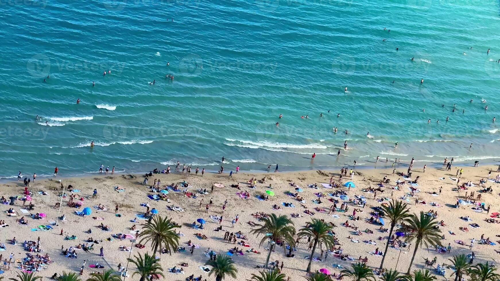 Aerial view of a beach scene with sunbathers enjoying turquoise waters and swaying palm trees in a light breeze photo