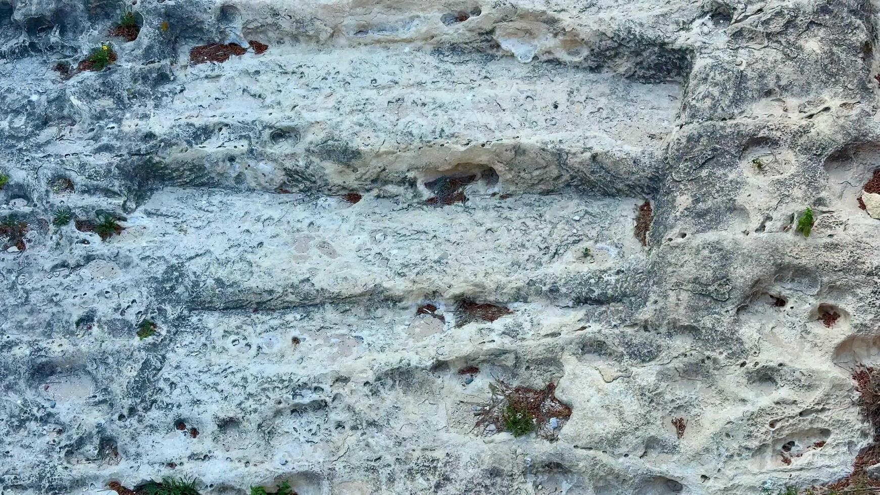 Weathered stone steps show beautiful textures and vibrant greens, highlighting natures reclaiming artistry photo