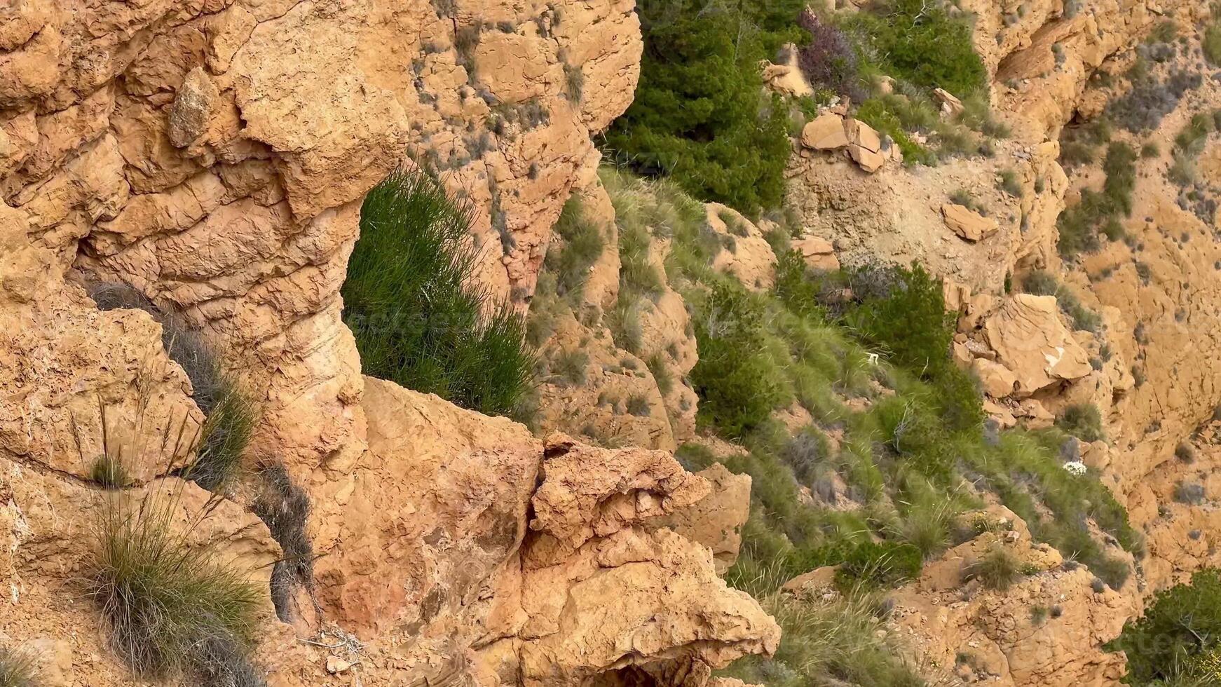 An absolutely breathtaking view of rocky cliffs juxtaposed with vibrant vegetation in a stunning natural landscape photo