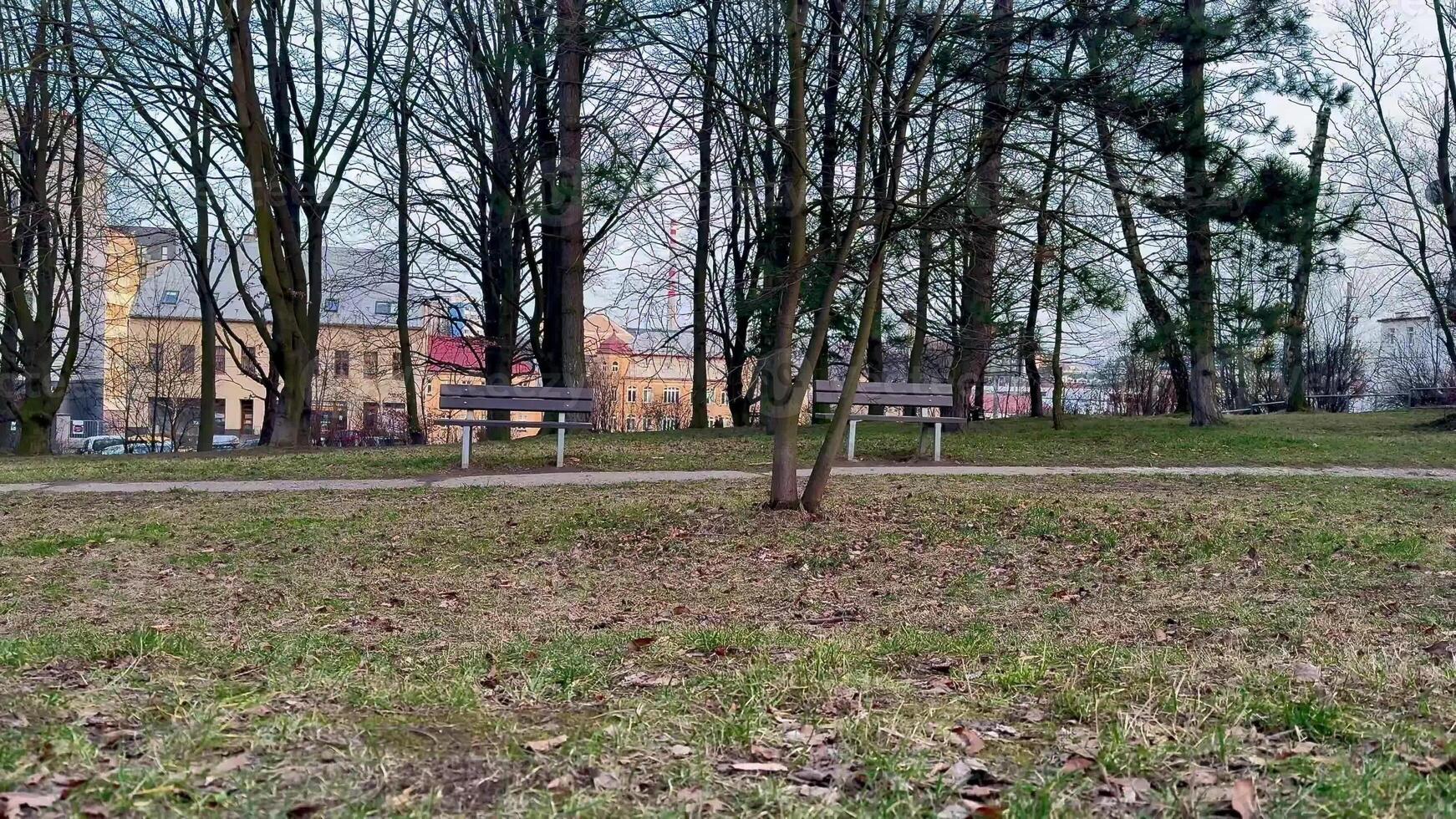 A serene and tranquil park scene that features benches, lush trees, and a hint of a building in the background photo