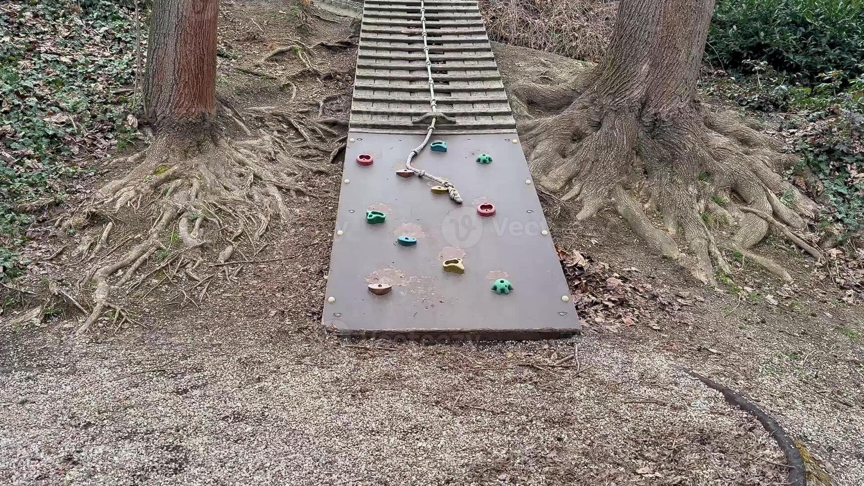 A fun climbing ramp for outdoor play with colorful grips and natural elements for an enhanced experience photo