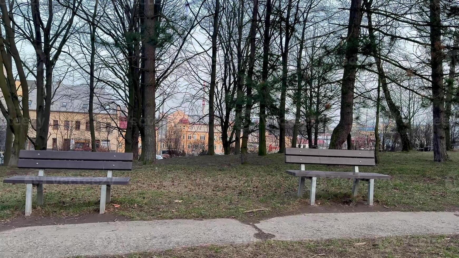 A serene park scene with two inviting benches among lush trees, ideal for unwinding after a hectic day photo