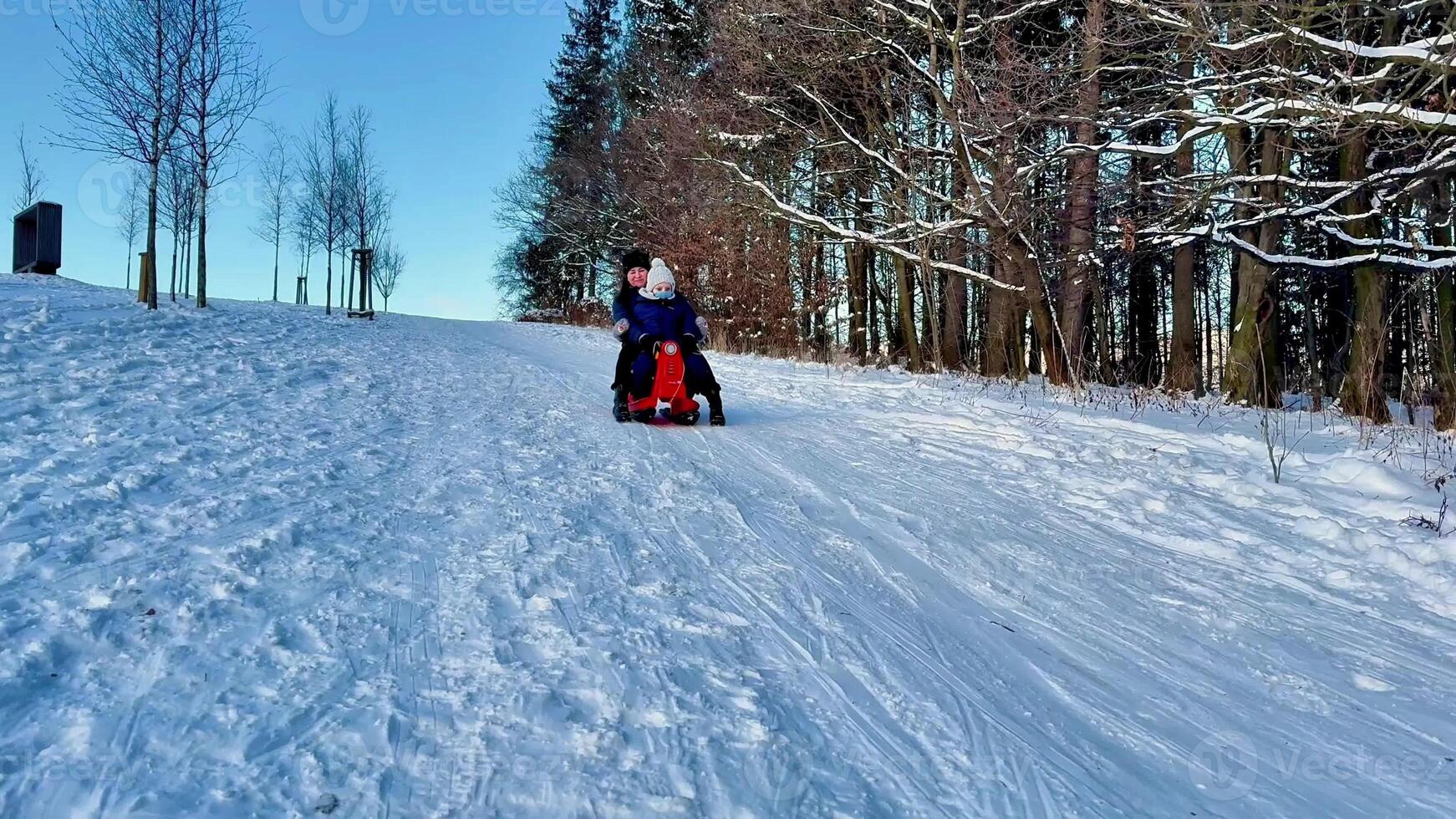 A joyful child happily sledding down a snowy hill, surrounded by tall trees, all under a clear blue sky photo