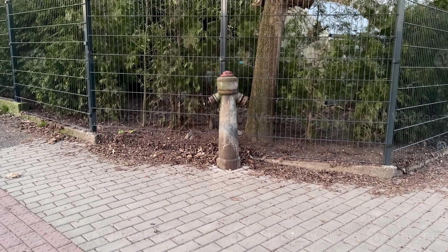 A weathered fire hydrant stands proudly near an old fence, showcasing urban infrastructure amidst surrounding nature photo