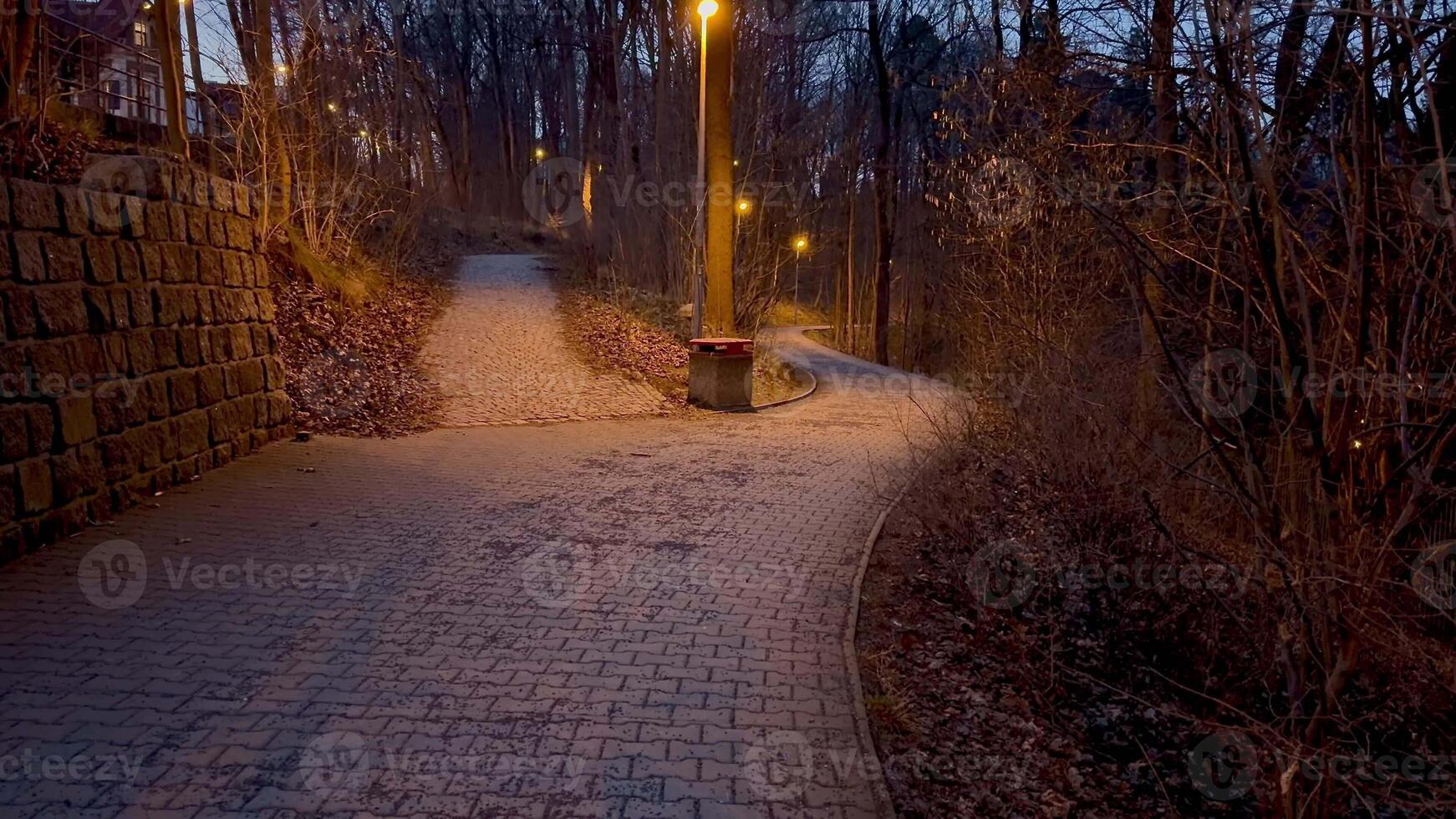 A serene and tranquil pathway, softly illuminated by street lights, winds through a wooded area at dusk photo