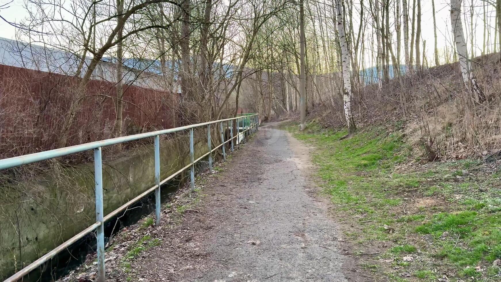 A tranquil pathway beside a river, featuring bare trees and a serene atmosphere in early evening light. photo