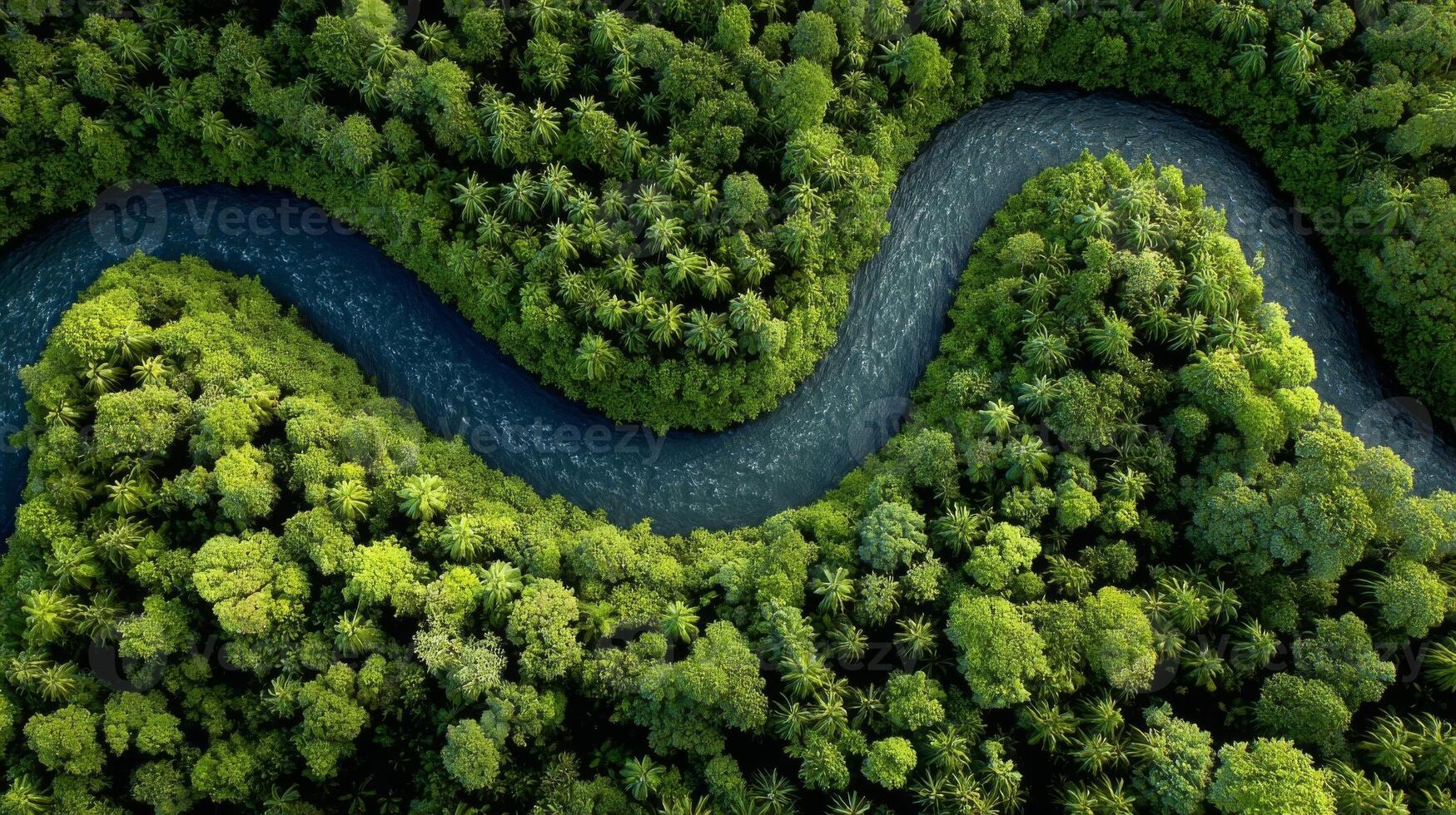 Aerial View of a Winding River Through Lush Green Forest photo