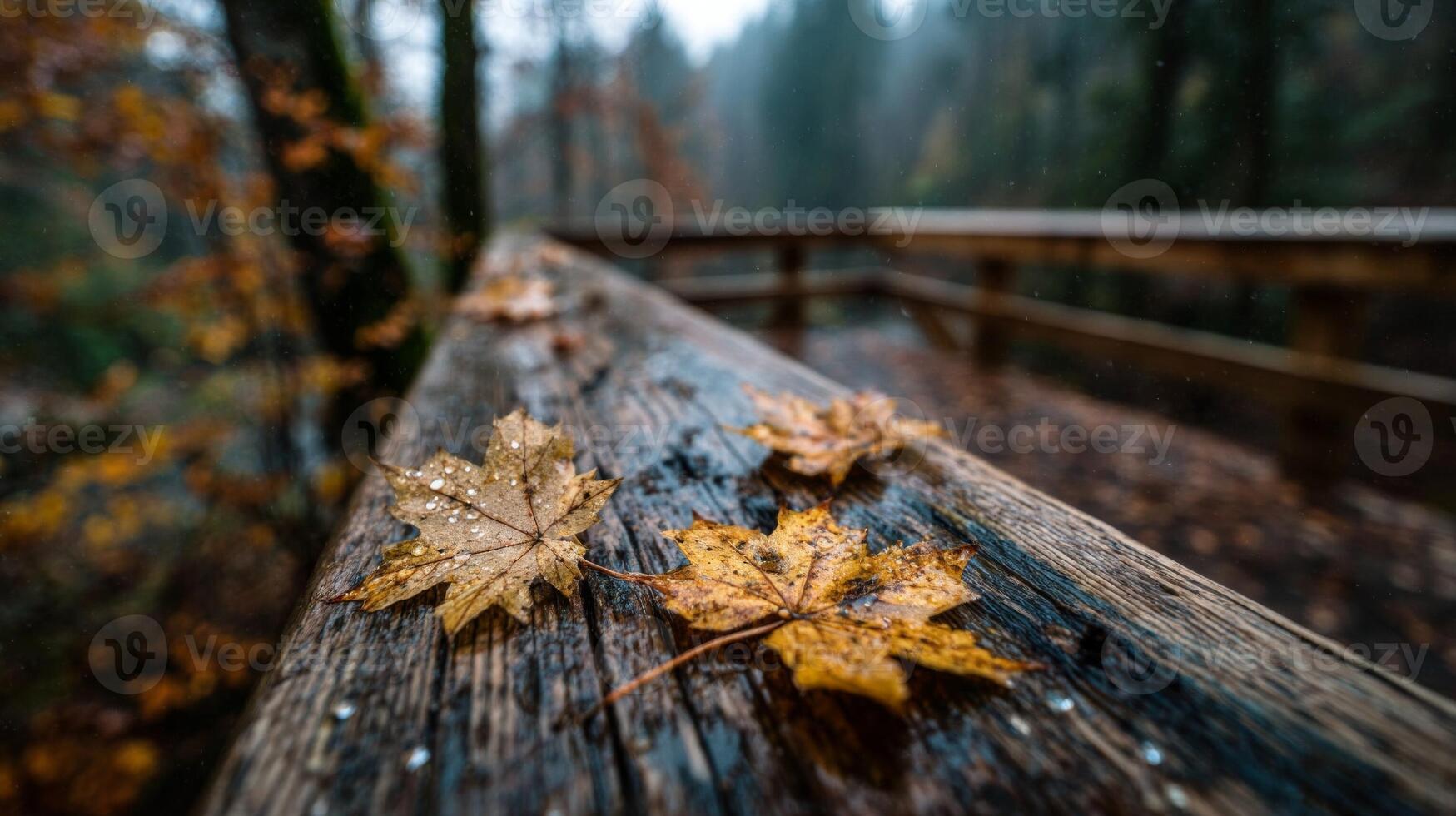 Rain-Soaked Autumn Leaves on Wooden Deck photo