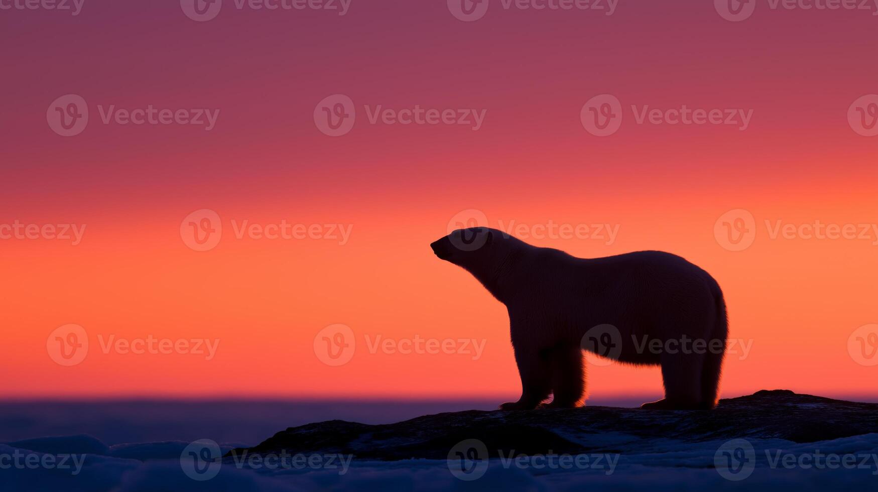 A polar bear stands on ice, silhouetted by stunning colors of the sunset in the Arctic. photo
