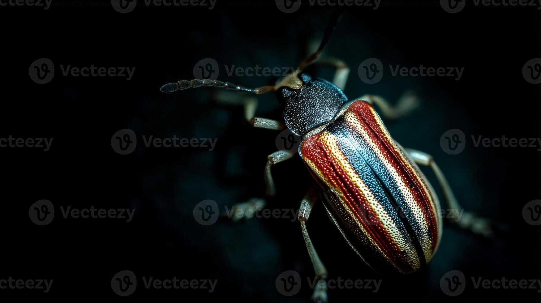 A vibrant beetle with colorful stripes crawls on a dark surface, showcasing its intricate patterns. photo