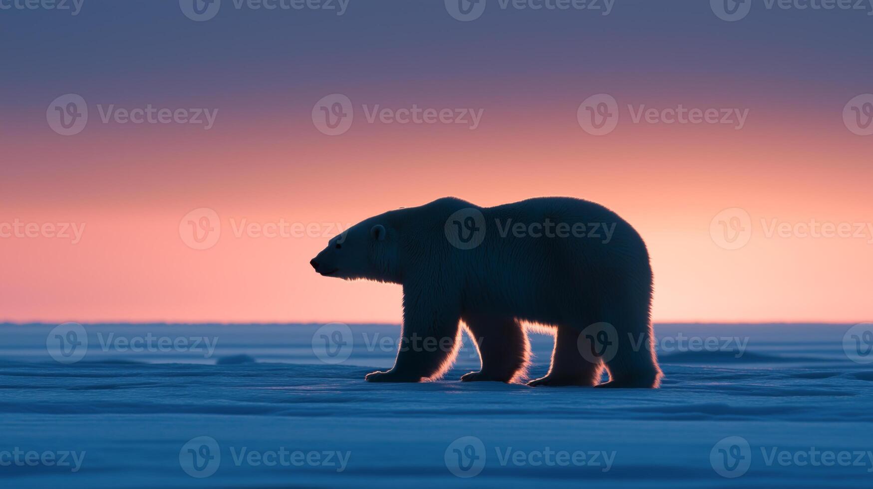 A polar bear stands on the ice, silhouetted against a stunning sunset with colorful skies. photo