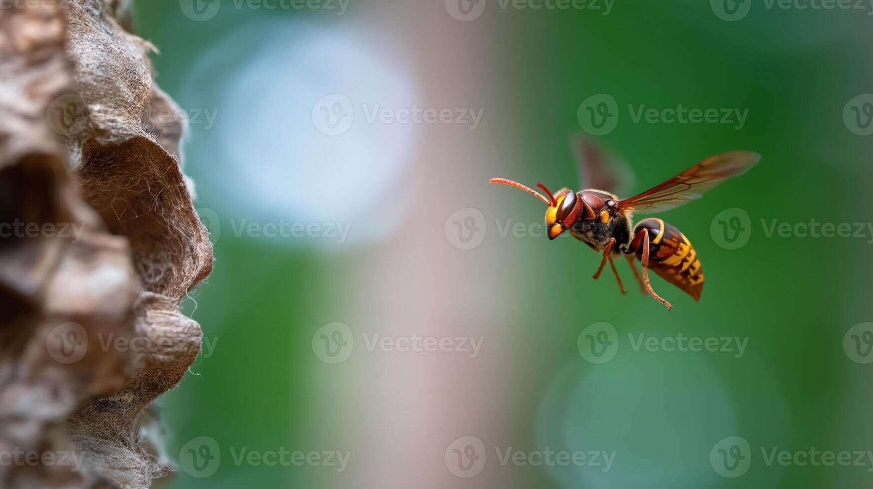 A wasp hovers close to its nest, surrounded by green foliage on a bright day. photo