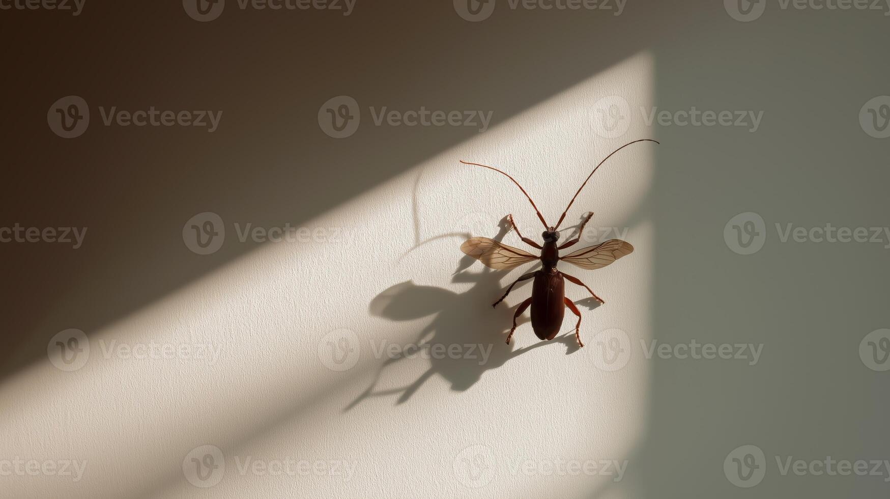 A brown insect crawls on a light surface creating a distinct shadow in the midday light. photo