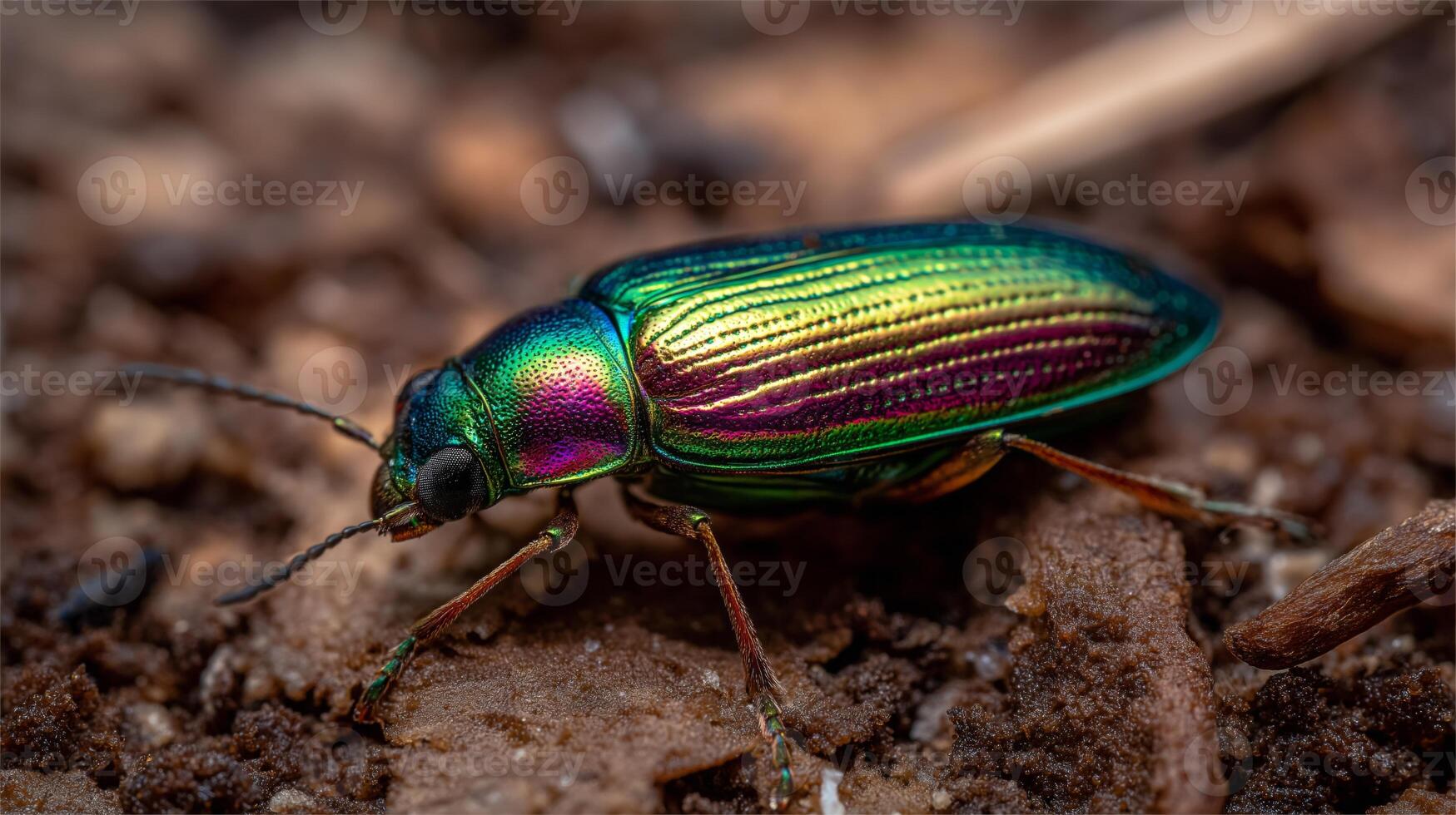 A vibrant beetle moves over earthy substrate, showcasing its striking colors and intricate patterns. photo