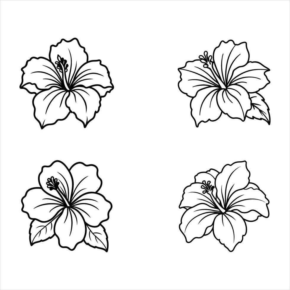 Four Black Line Drawings of Hibiscus Flowers line art vector