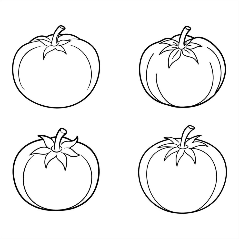 Four Line Drawing Tomatoes White Background line art vector