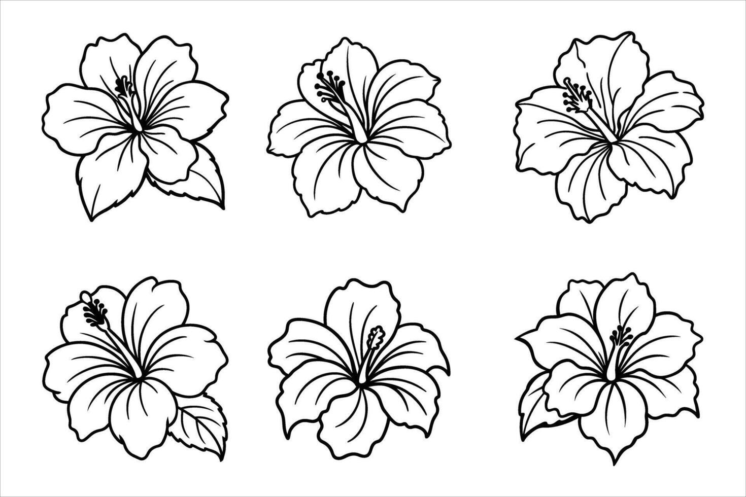 Six Black and White Hibiscus Flower Line Drawings flowers vector