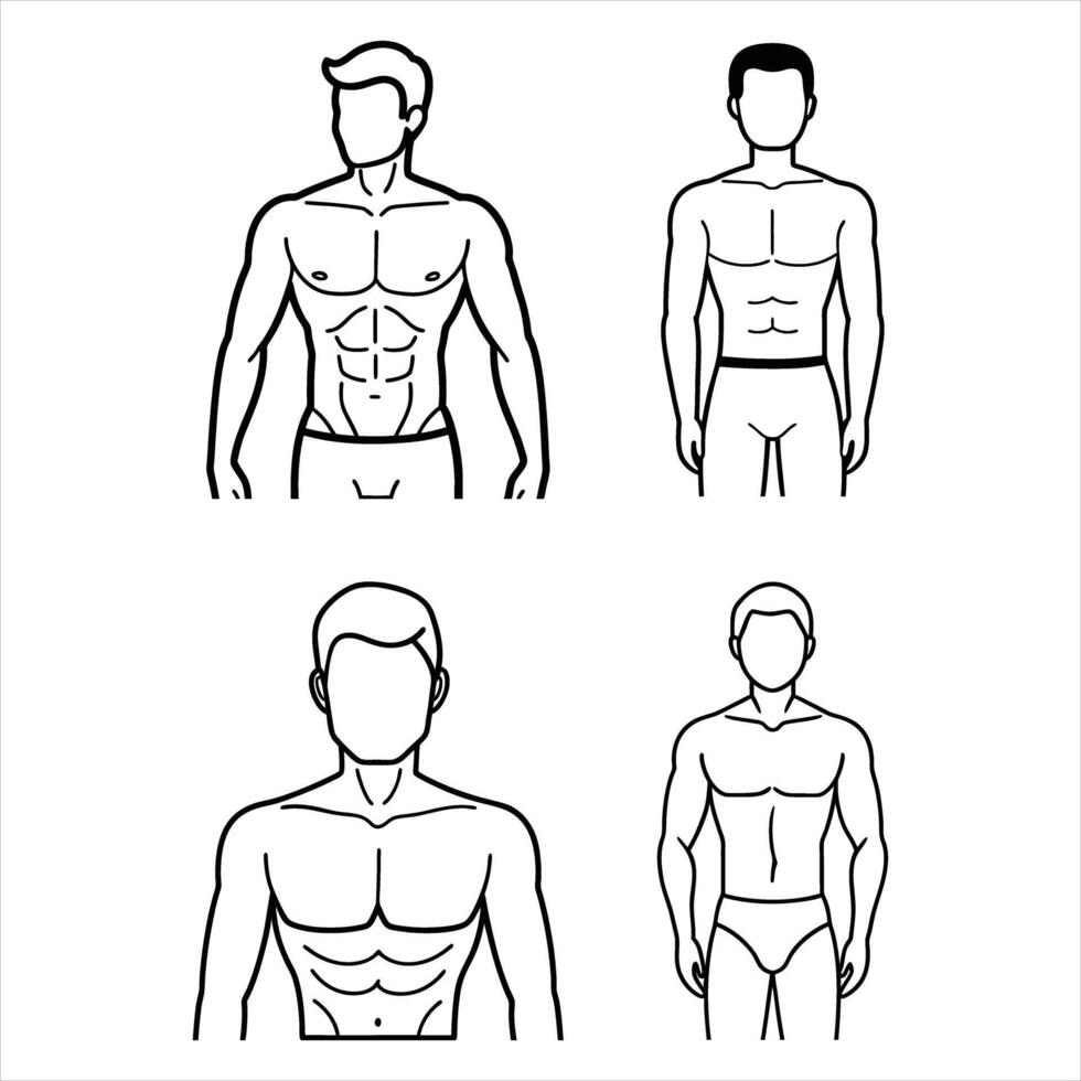 Four Male Body Types Line Art Illustrations Black White vector