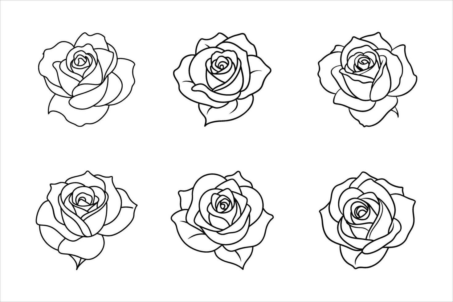Six Black Line Drawings of Roses Floral Botanical Illustrations vector