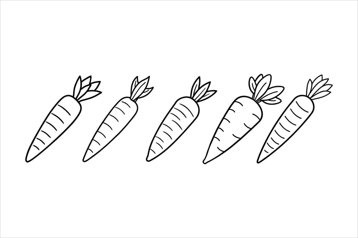 Five Line Drawn Carrots Black and White Illustration vector