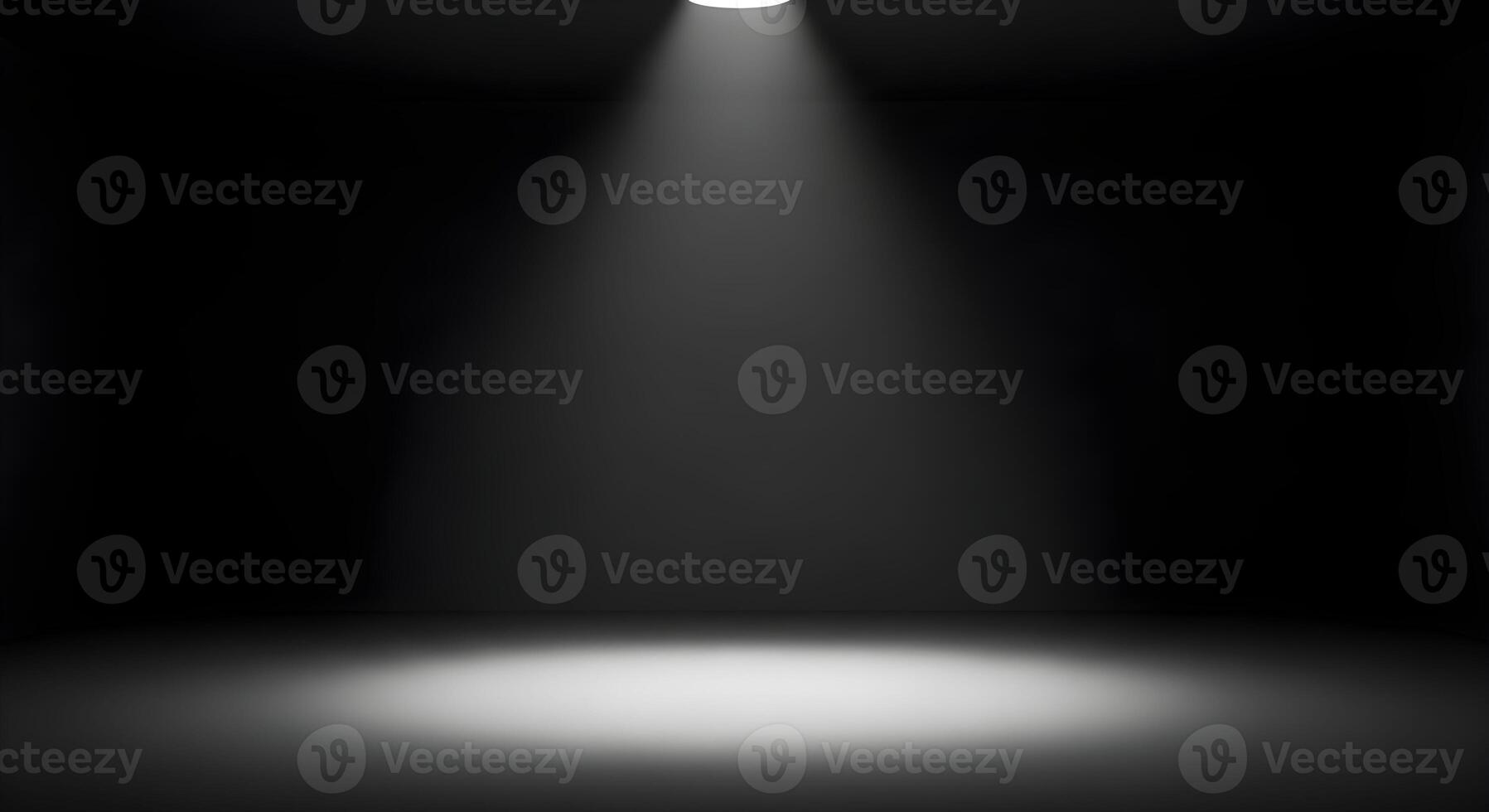 Dark Minimalist Studio with Single Overhead Spotlight photo