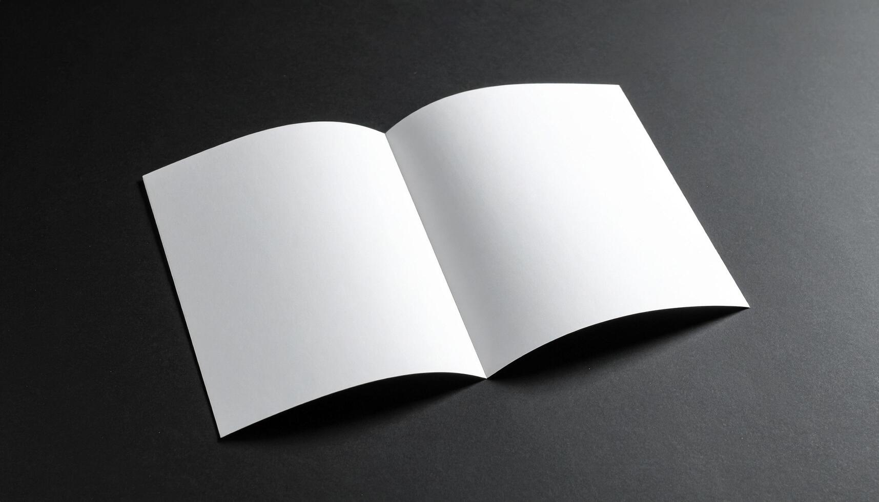 Two Panel Brochure With Crease Detail On Black Studio Background photo