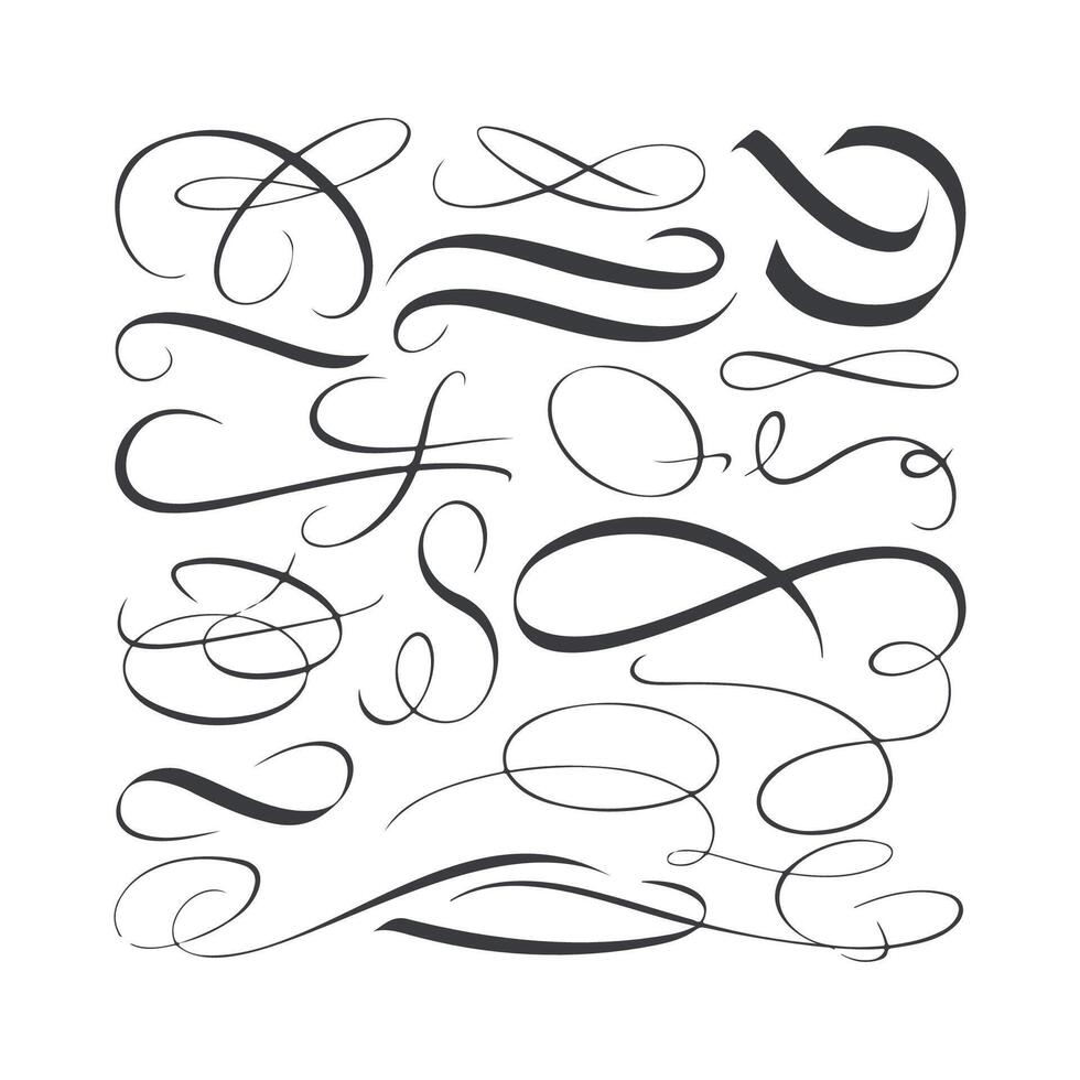 Elegant Flourishes and Swirls for Decorative Design vector