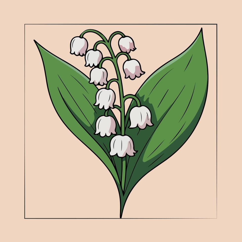 illustration of lily of the valley flower with two leaves vector