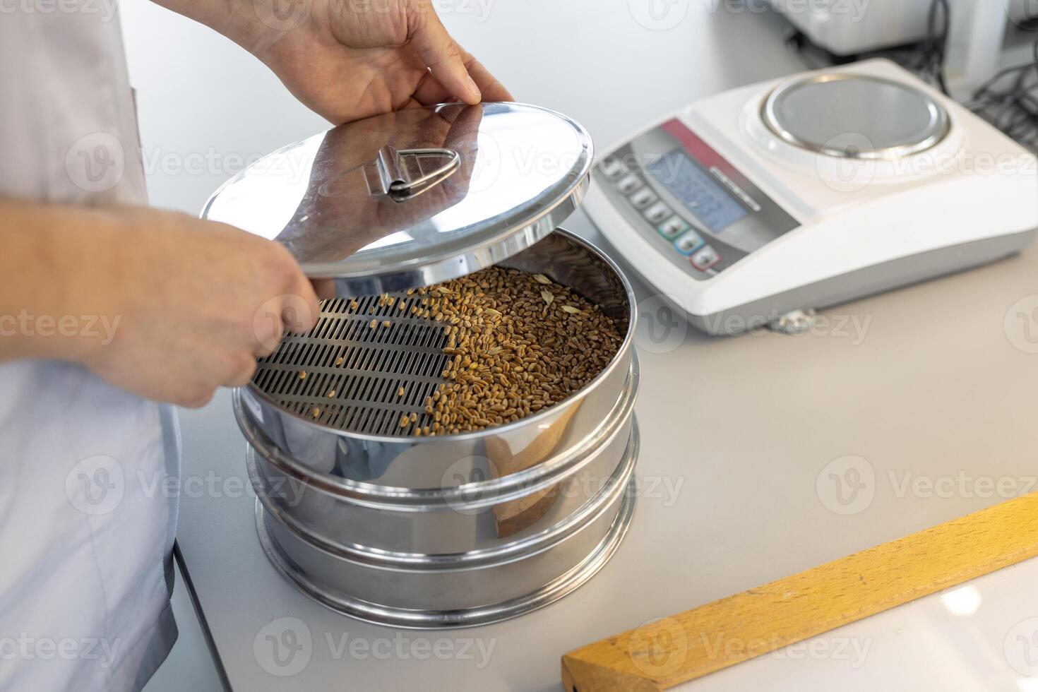 Laboratory Quality Analysis of Grain Seeds Using Modern Testing Equipment in Agricultural Research photo