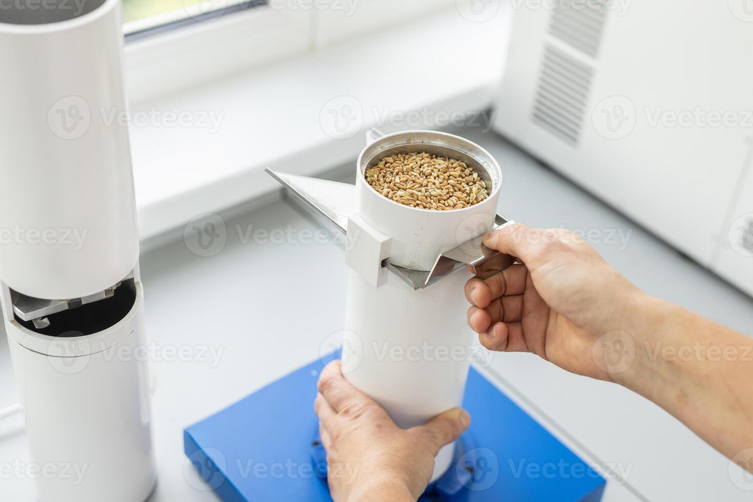 Wheat Grain Quality Testing in Modern Laboratory with Specialized Equipment and Human Interaction photo