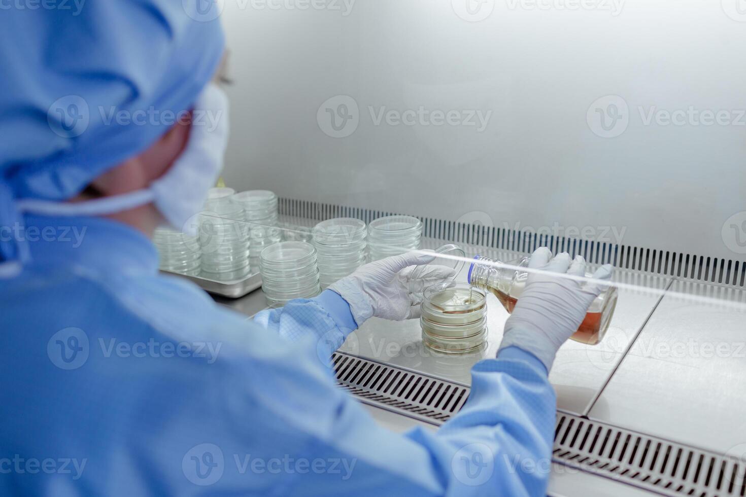 Lab Technician Pouring Media into Petri Dishes for Microbiology Research in a Sterile Laboratory Environment photo