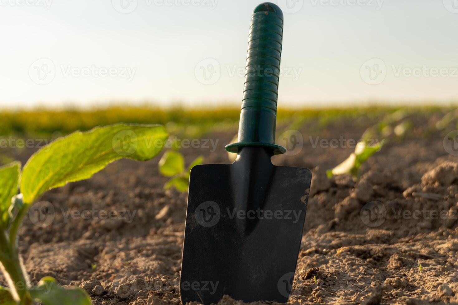A shovel is in the middle of a field photo