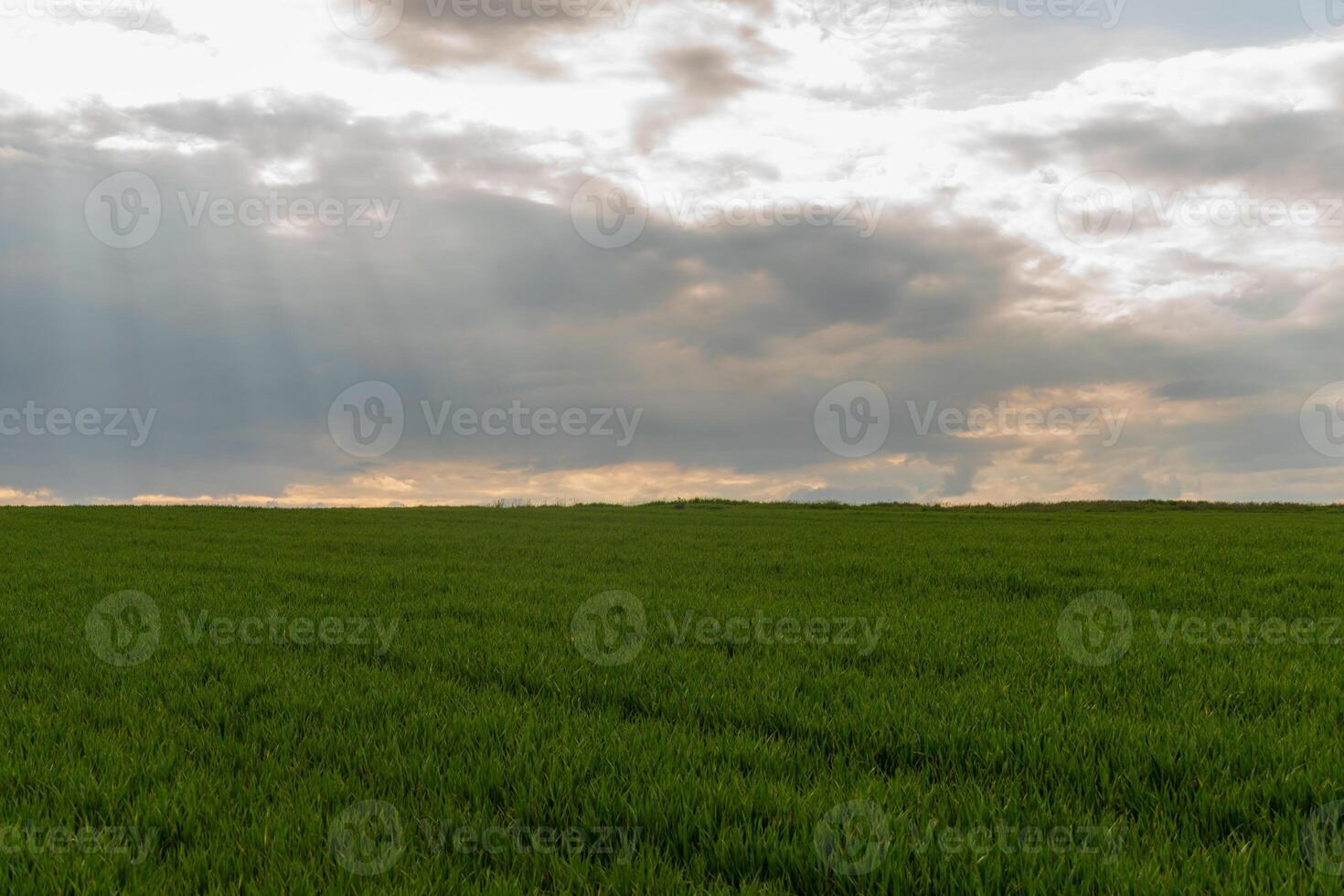 Lush Green Field Under Dramatic Sky with Sunlight Streaming Through Clouds photo