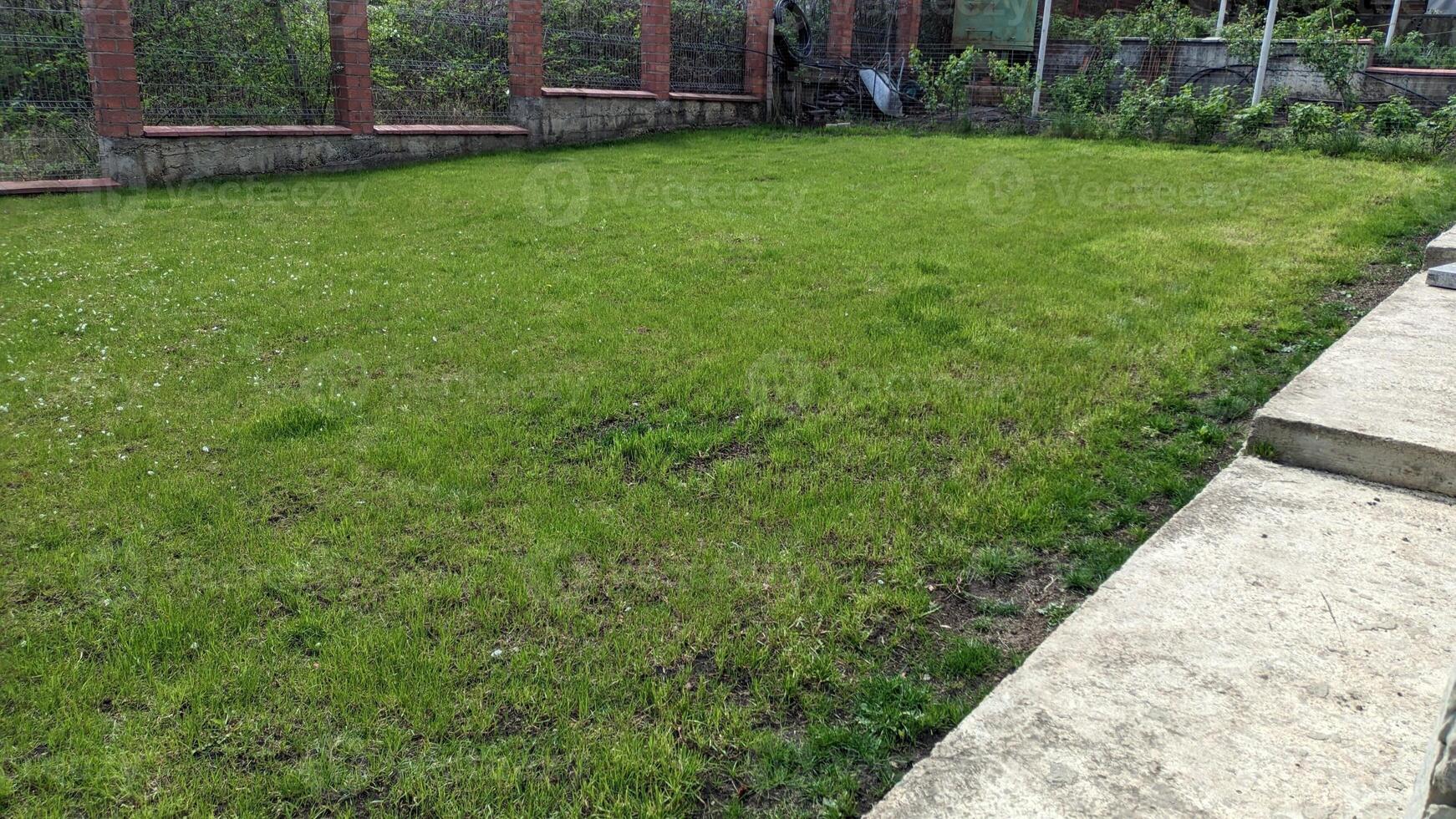 A Vibrant Green Lawn Beautifully Adorned Under the Bright and Glorious Sunshine Today photo
