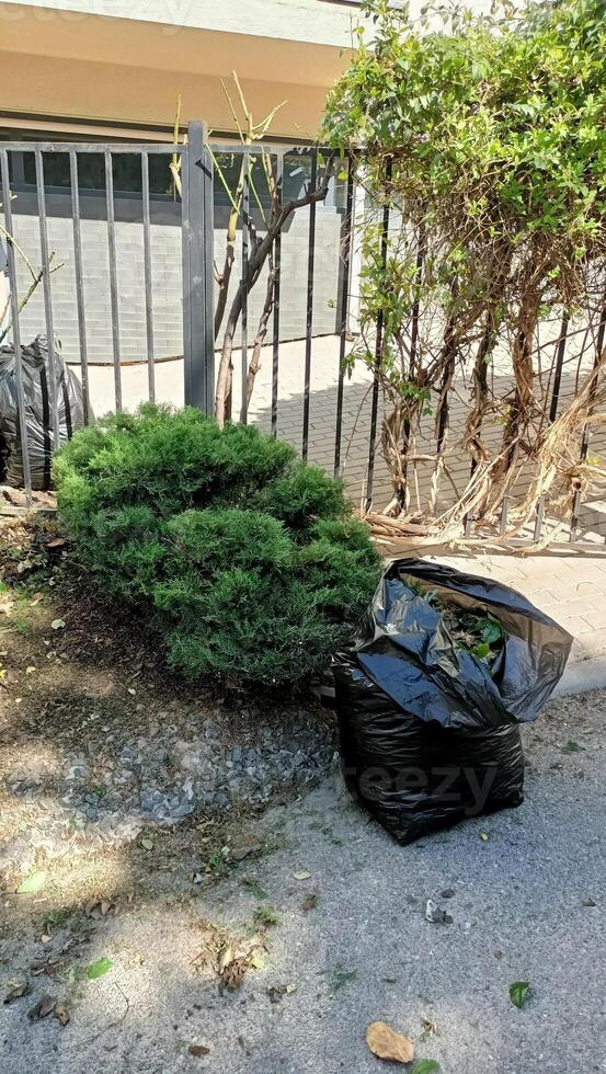 There is a trash bag located near a shrub that is situated alongside the fence in the area photo