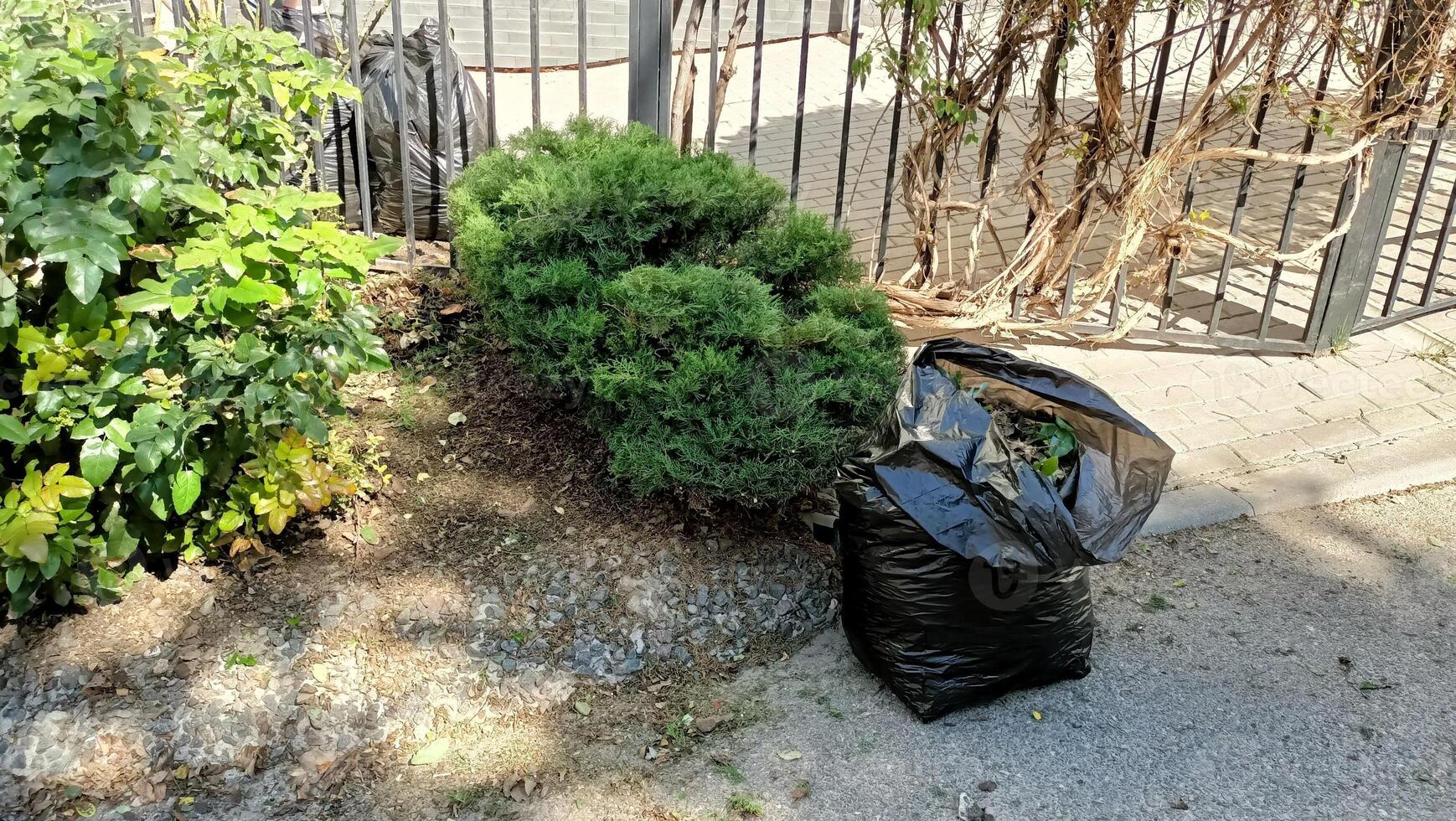Enhancing Urban Greenery and Waste Management for Sustainable City Development and Growth photo