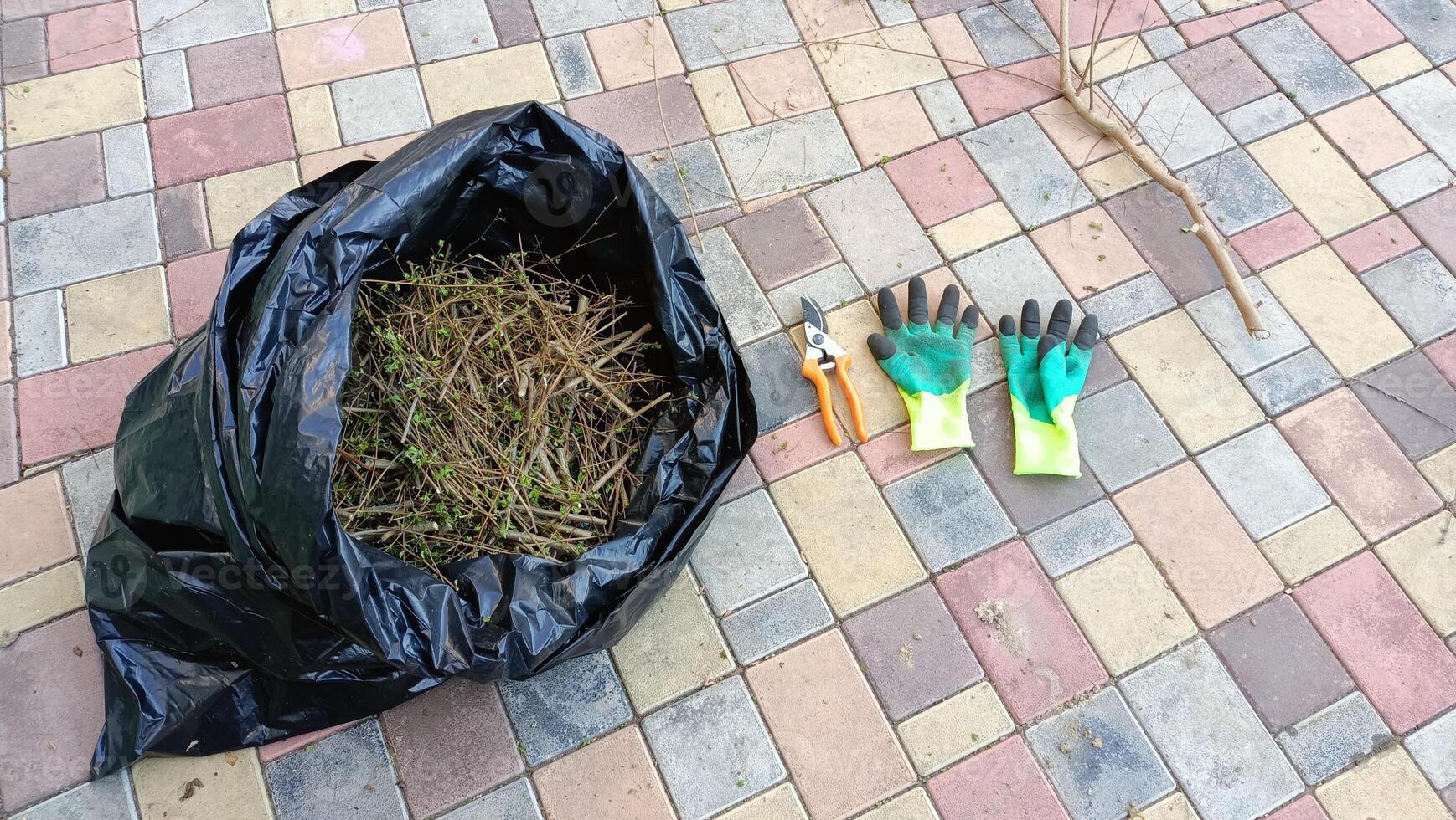 Gardening Tools and Clippings Collected in a Black Bag on a Paved Surface Area Outside photo