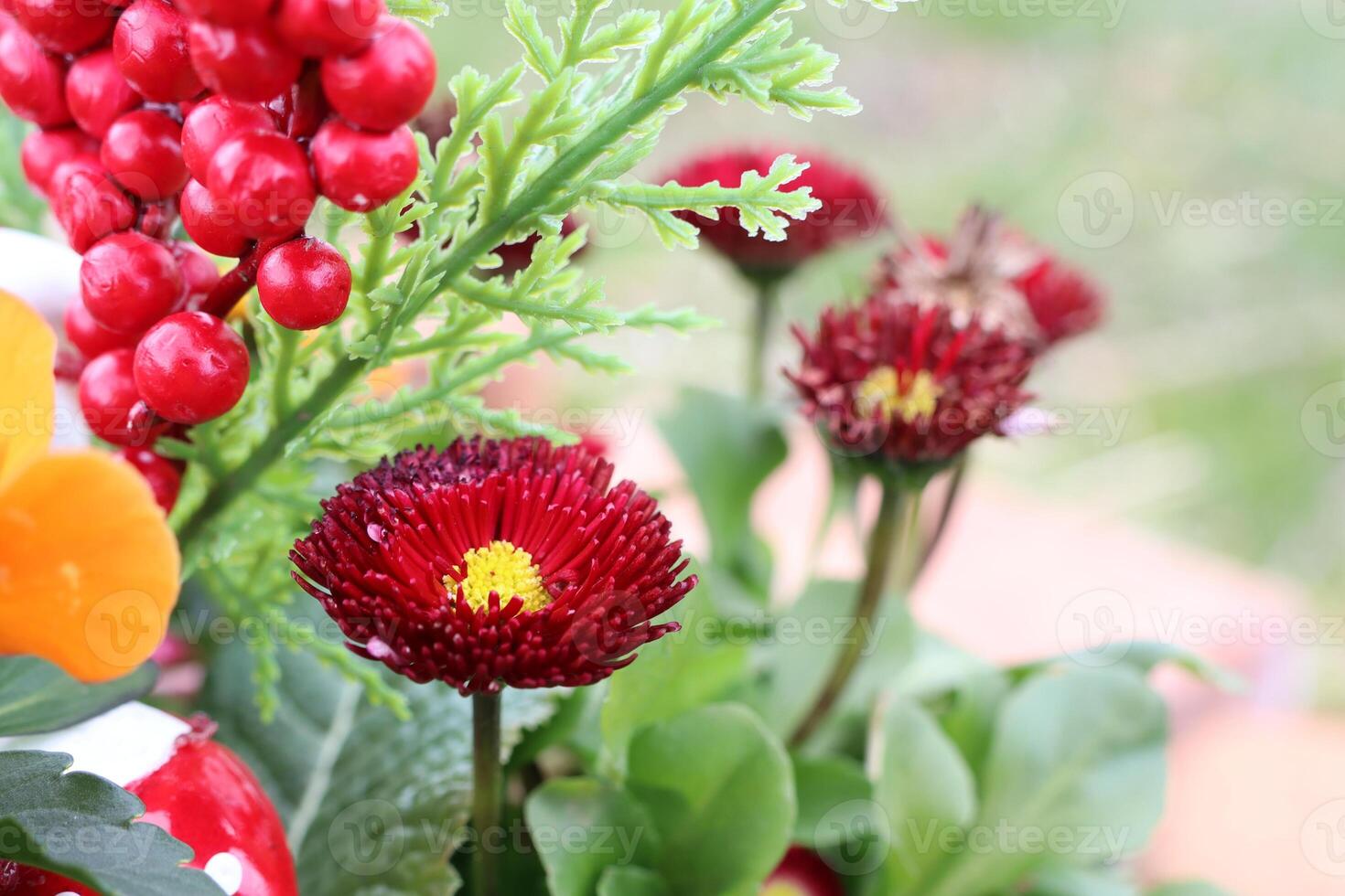 Beautiful and Vibrant Floral Arrangement featuring Red Berries and Colorful Blooms in Harmony photo