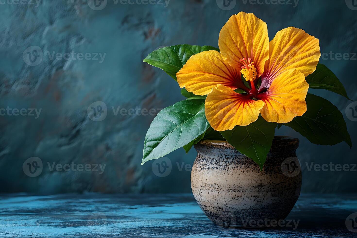 Vibrant Yellow Hibiscus in Rustic Pottery Against Blue Textured Background photo