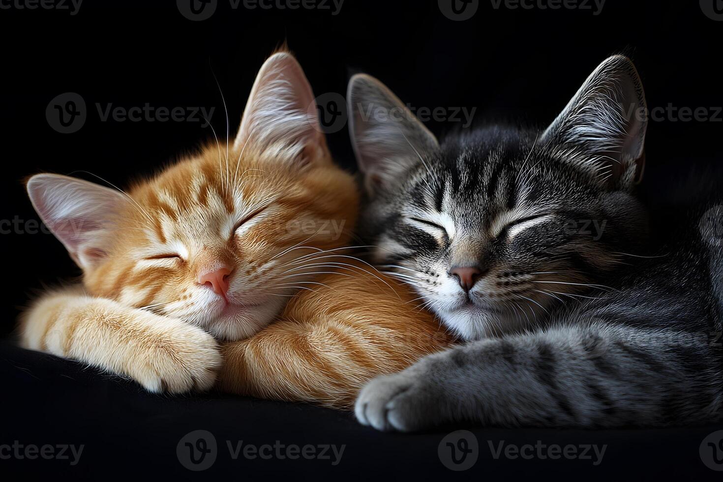 Tranquil Feline Companionship Peaceful Rest of an Orange and Gray Tabby Cat photo