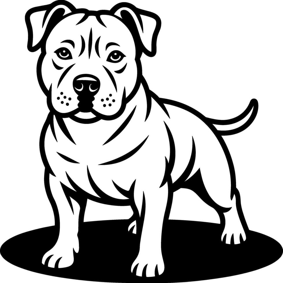 American Staffordshire Terrier Standing vector