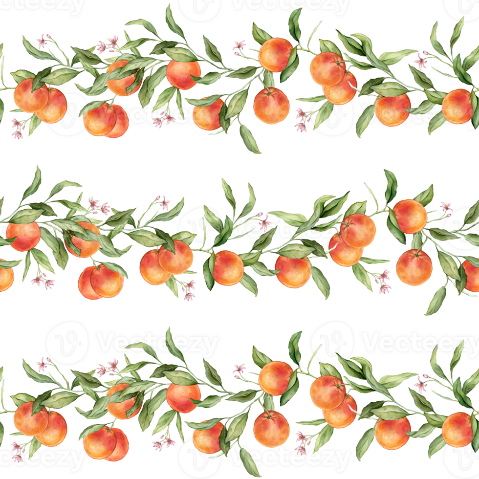 Seamless pattern with watercolor illustration of grapefruit with pink flowers. Hand painted print with grapefruit branche with green leaves on isolated. Citrus food for wrapping paper, textile design png