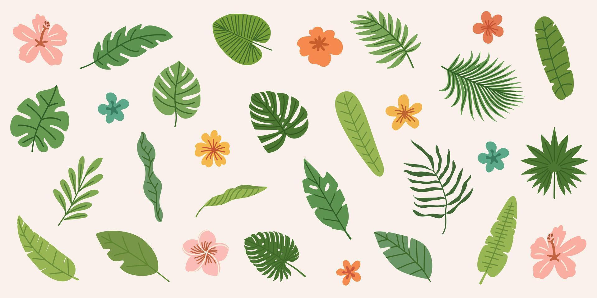 Set of summer green tropical leaves. Botanical jungle plants, leaves and flowers. Flat hand drawn illustration. Summer illustrations on exotic theme vector