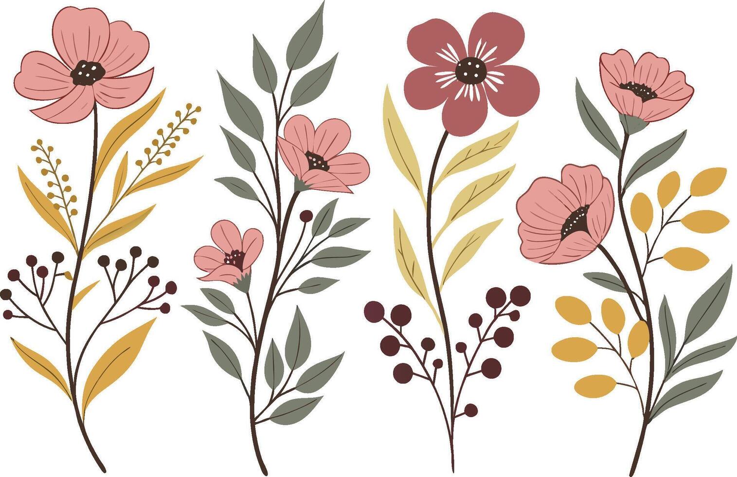 Flower and foliage botanical illustrations on white background, flowers arrangement vector